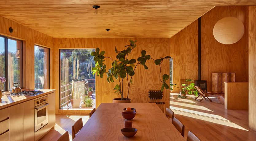 Photo of Topanga Sun