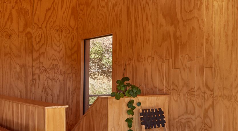 Photo of Topanga Sun