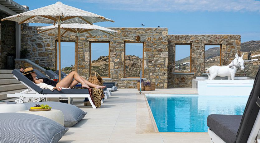 Photo of Blue Moon Blossom