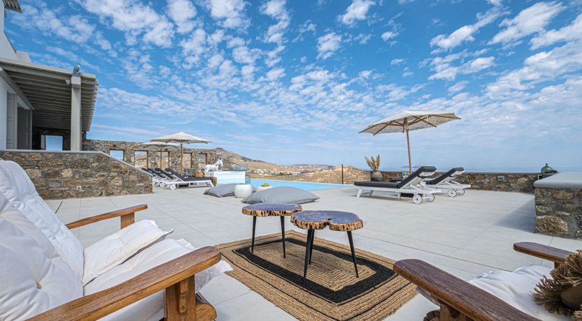 Photo of Blue Moon Blossom