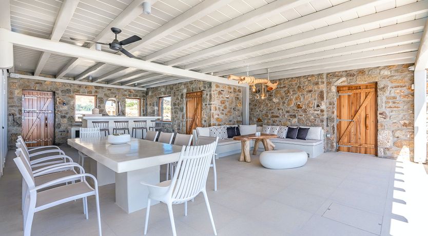 Photo of Blue Moon Blossom