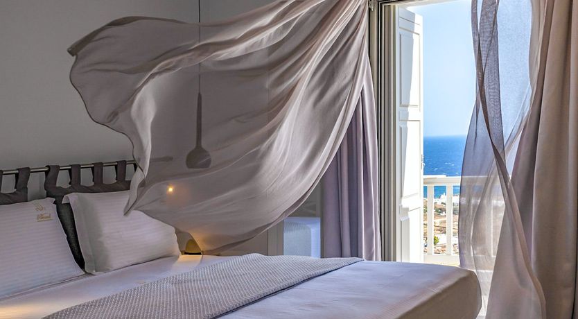 Photo of Blue Moon Blossom