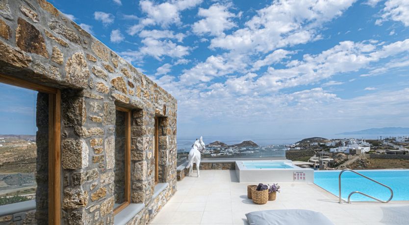 Photo of Blue Moon Blossom