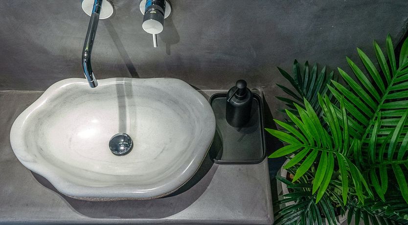 Photo of Blue Moon Blossom