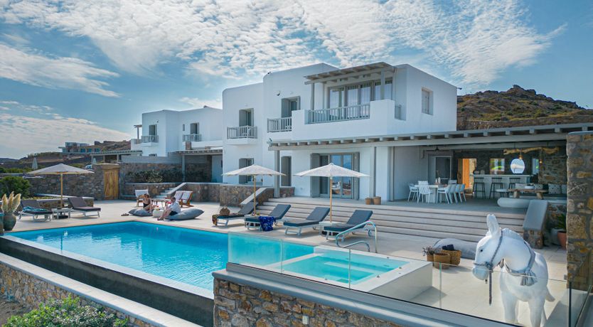 Photo of Blue Moon Blossom