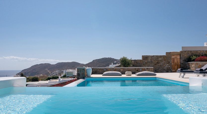 Photo of Blue Moon Blossom