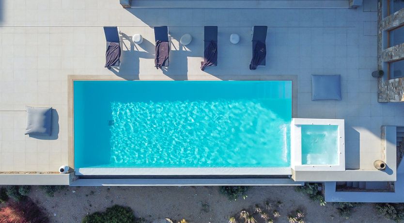 Photo of Blue Moon Blossom