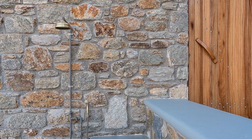 Photo of Blue Moon Blossom