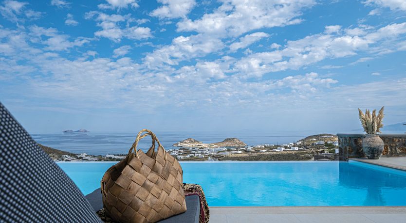 Photo of Blue Moon Blossom