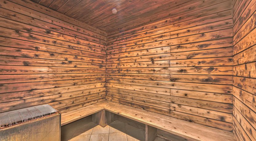 Photo of Back To The Mountain