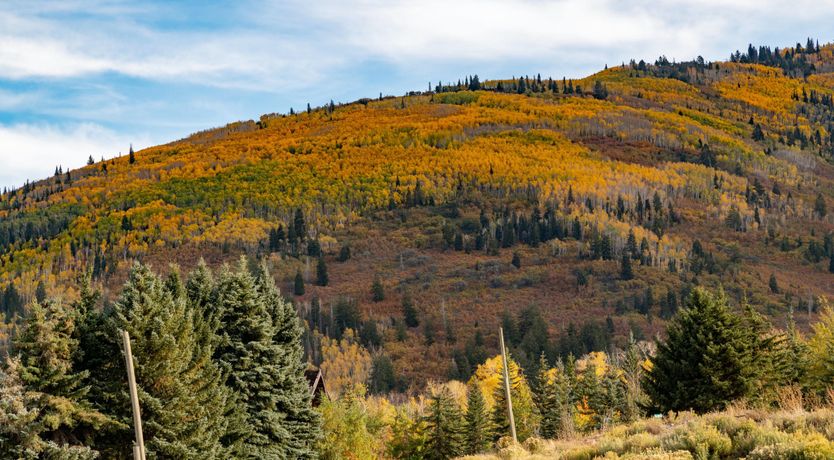 Photo of Back To The Mountain