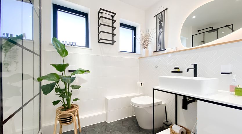 Photo of The Velveteen