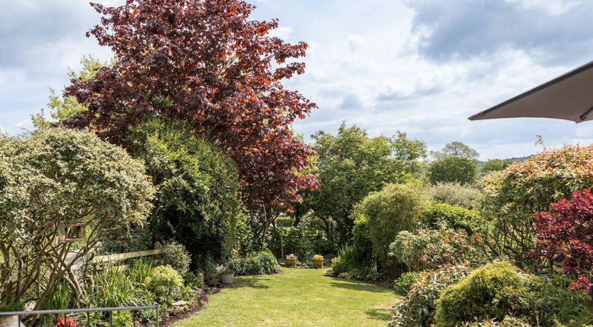 Photo of Exmoor's Embrace