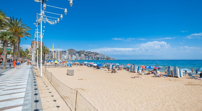 Photo of Levante Love