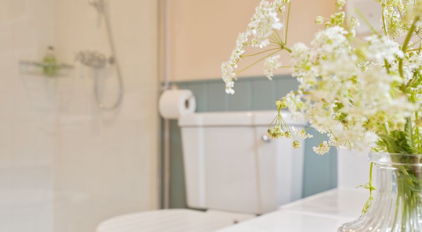 Photo of Cornish Reveries