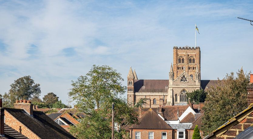 Photo of A Quiet Bloom