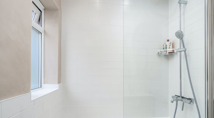 Photo of A Quiet Bloom