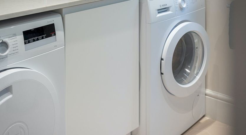 Photo of A Quiet Bloom