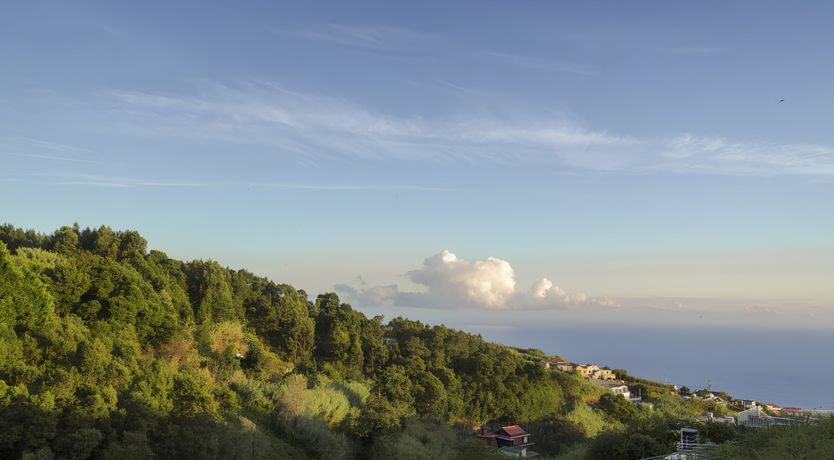 Photo of Island Heart Home