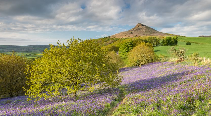 Photo of Whistler's Cottage