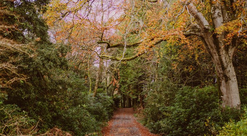 Photo of The Lowlands Escape