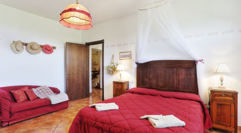 Photo of Sun On The Vines