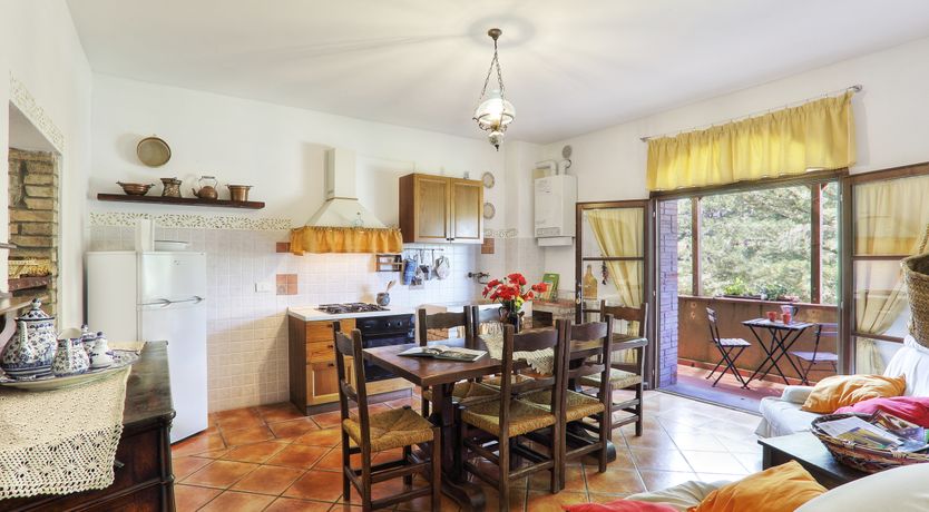 Photo of Sun On The Vines