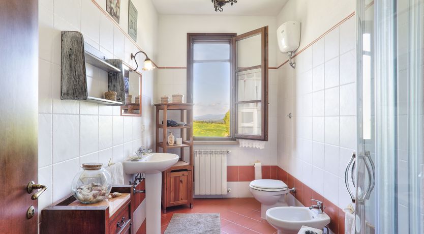 Photo of Sun On The Vines