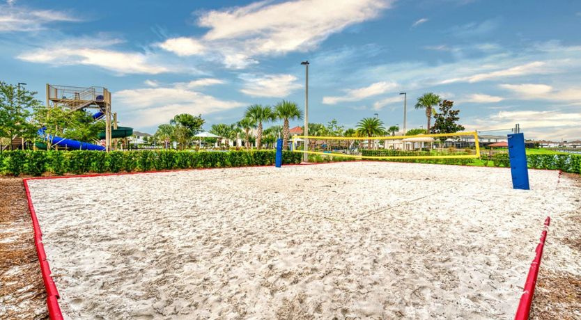 Photo of Driftwood Reverence