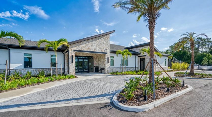 Photo of Driftwood Reverence