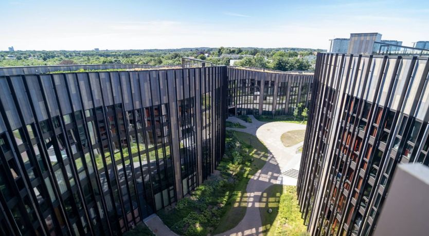 Photo of Forest View Oasis