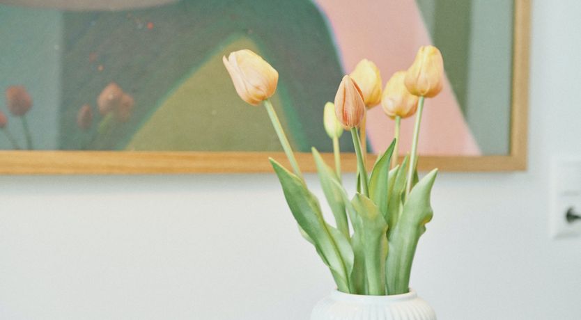 Photo of Forest View Oasis