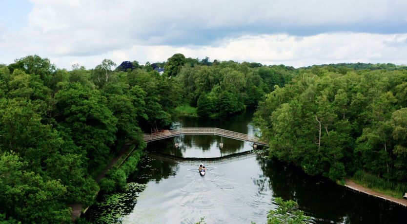Photo of Forest View Oasis