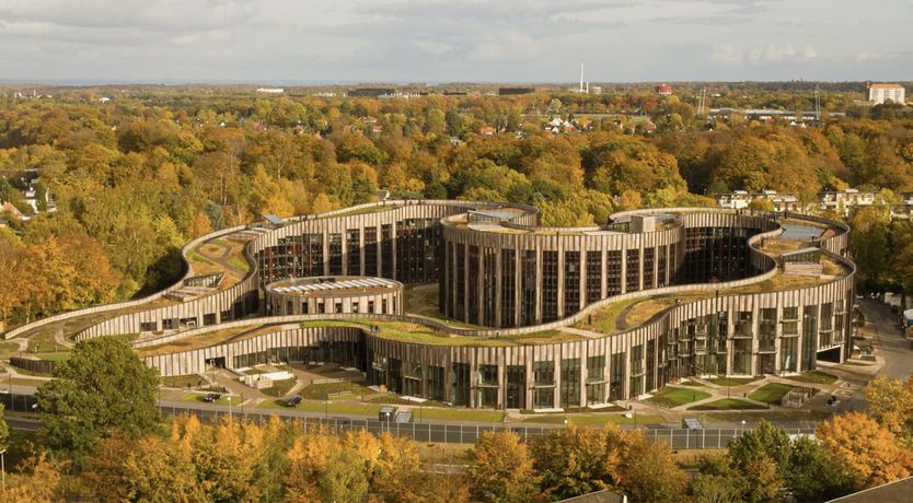 Photo of Forest View Oasis