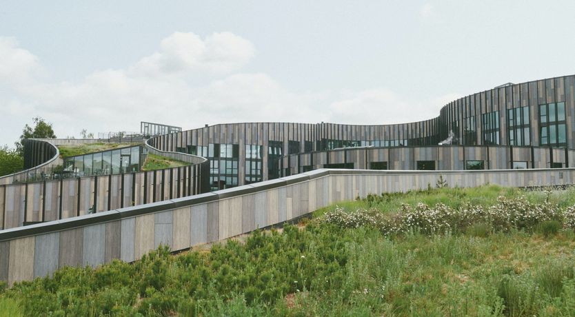 Photo of Forest View Oasis