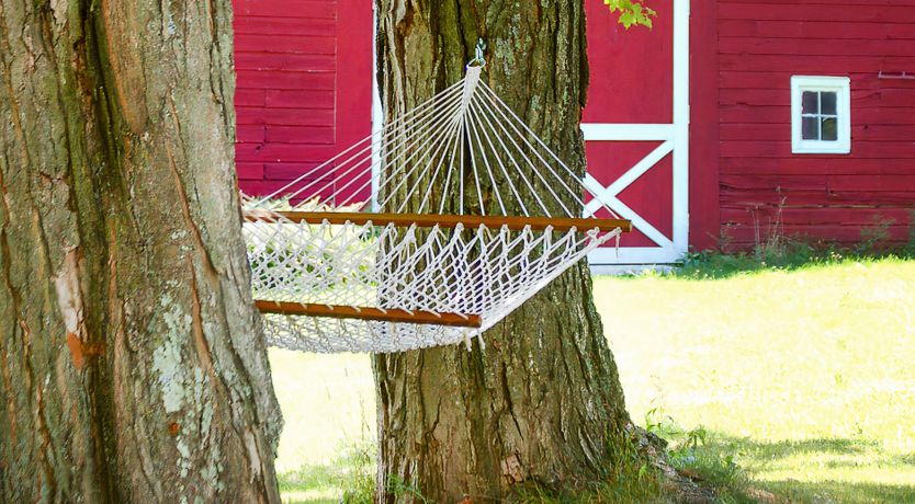 Photo of The Architect's Gallery