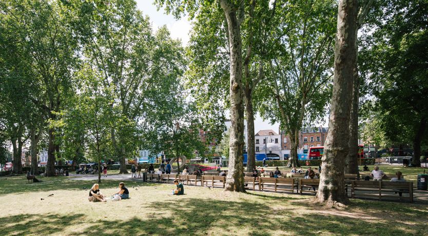 Photo of House of Clay