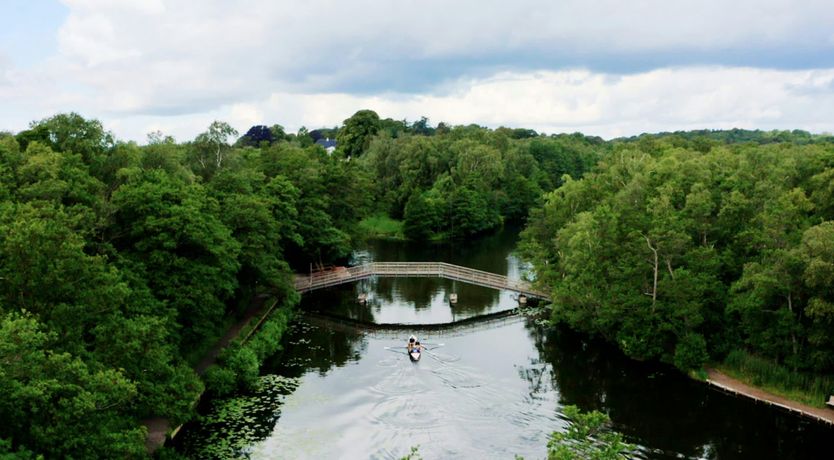 Photo of Artistic Haven