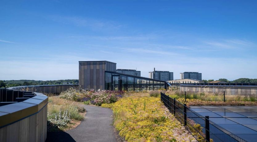 Photo of Artistic Haven