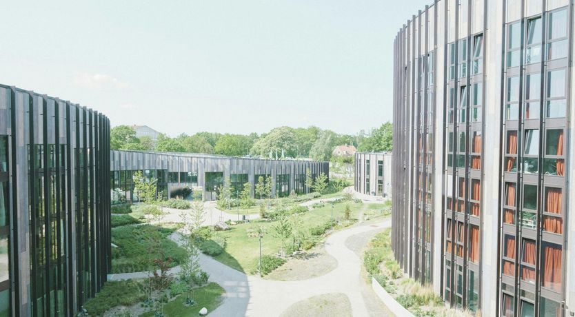 Photo of Artistic Haven