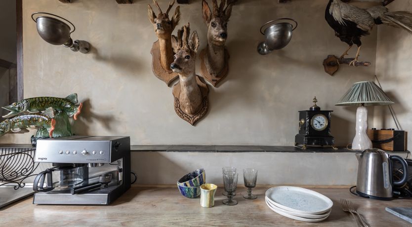 Photo of The Gallerist