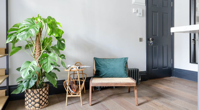 Photo of House of Coir