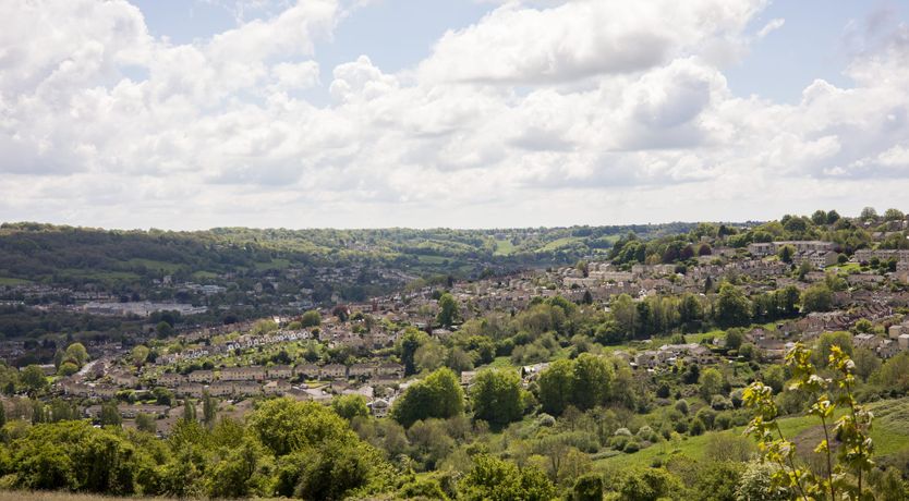 Photo of Buttercup Meadow