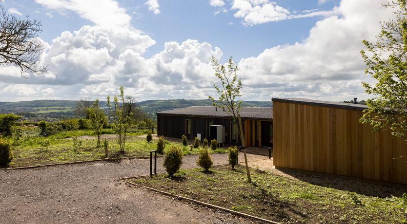 Photo of Buttercup Meadow