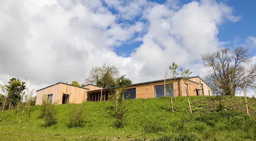 Photo of Buttercup Meadow