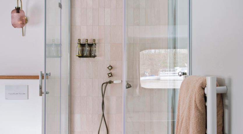 Photo of The Pink Peony