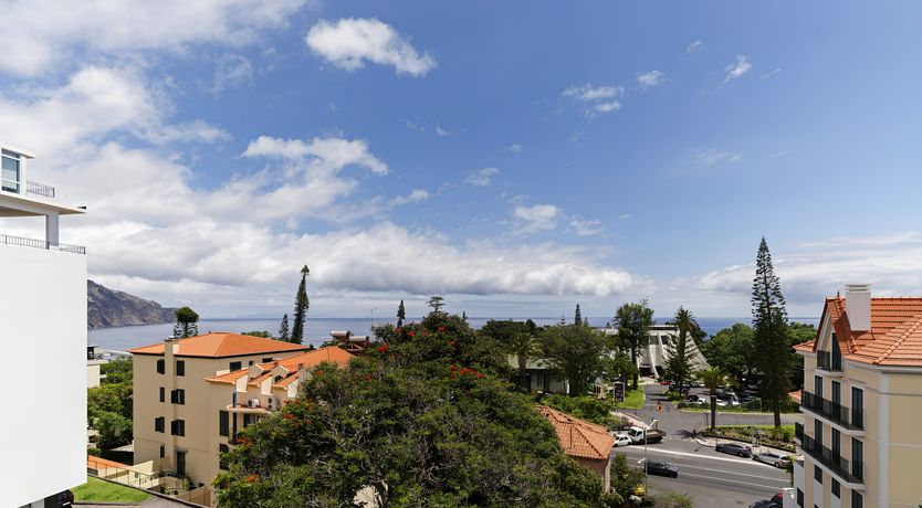 Photo of Portuguese Paradigm