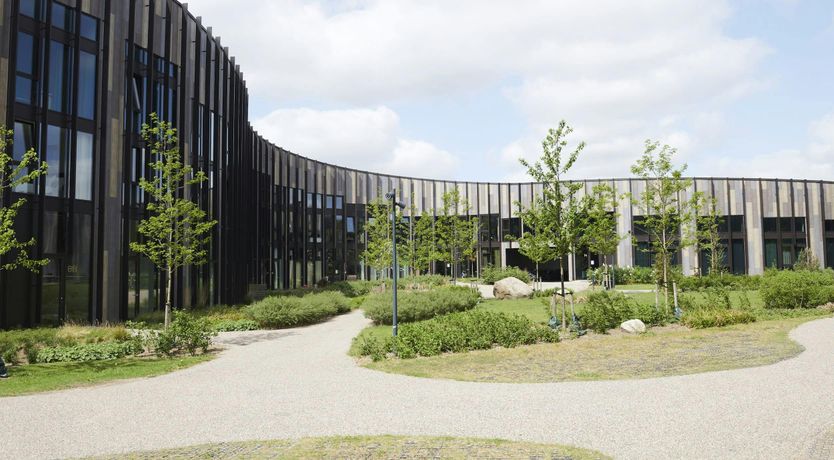 Photo of Scandinavian Serenity