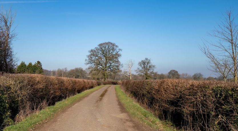 Photo of Peacock Cottage