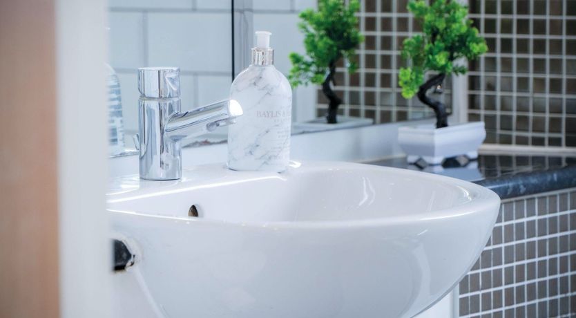 Photo of The Shrinking Violet